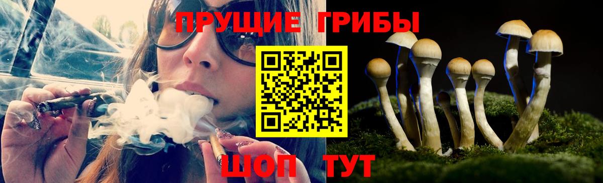 Галлюциногенные грибы Magic Shrooms  Вход с VPN  Богородицк  Псилоцибиновые грибы Magic Shrooms 